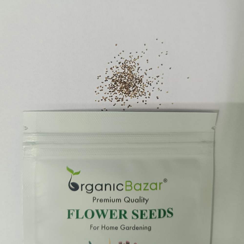 Indian Shirley Poppy Mix Seeds (400 Seeds) High Germination, Perfect for pots, balconies, or Terrace gardens