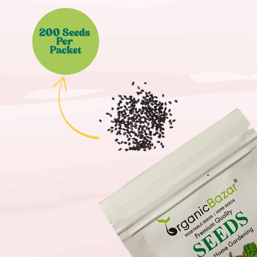 Italian Large Leaf Basil Seeds - 200 Seeds (तुलसी के बीज) High Germination/Perfect for pots, balconies, or Terrace gardens