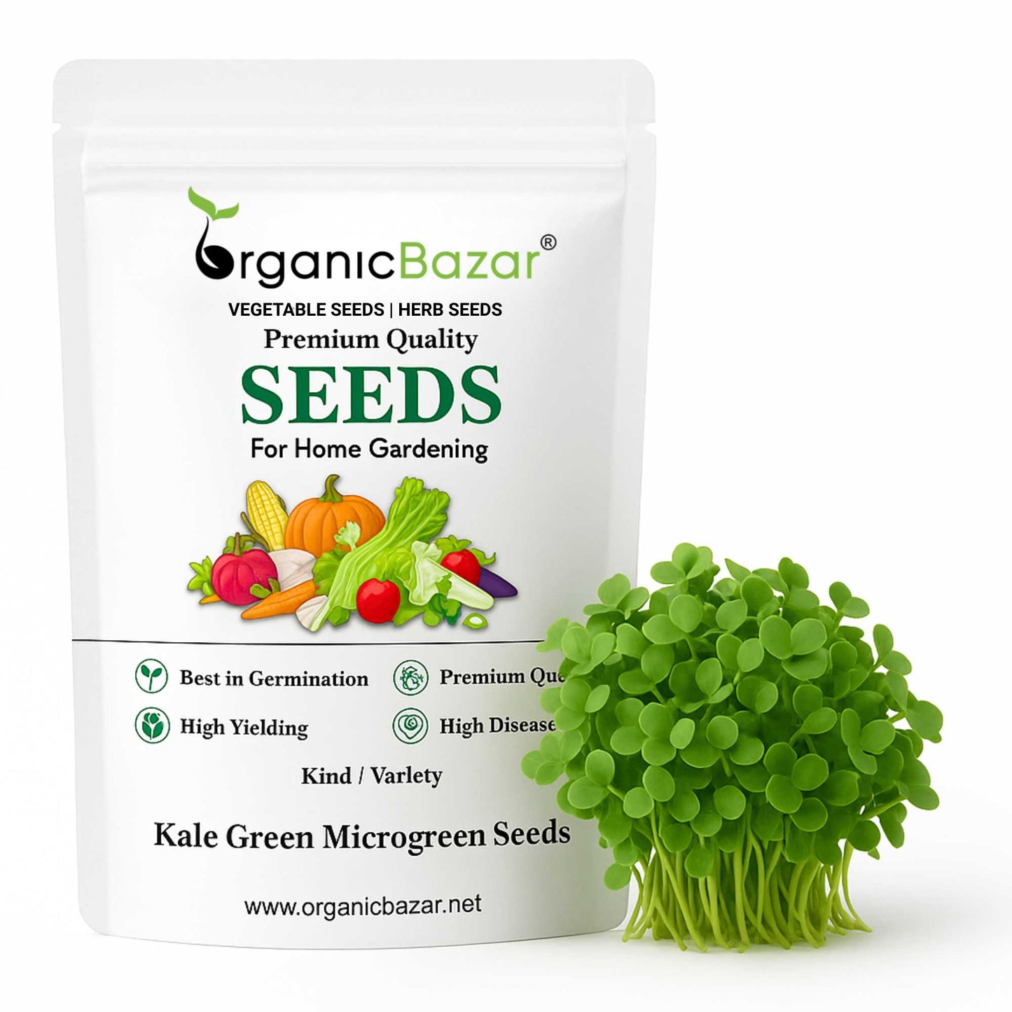 Kale Green Microgreen Seeds (20g)