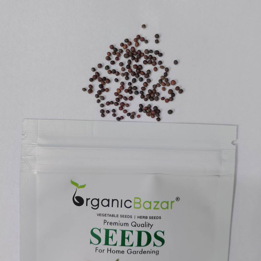 Kale Seeds For Home Gardening - 150 Seeds (केल के बीज) High Germination / Easy to Grow / Ideal for Terrace/Kitchen Gardening