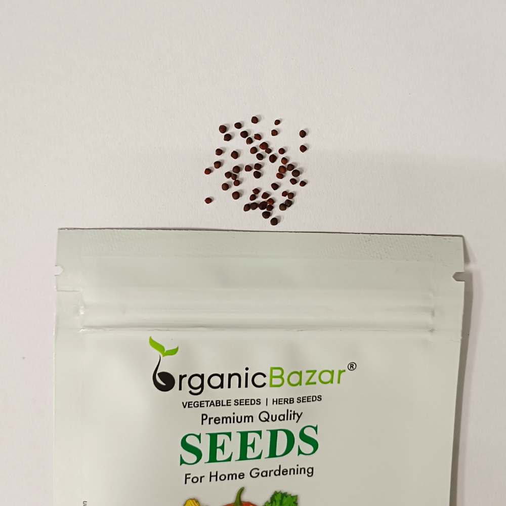 Knol Khol Purple Seeds - 50 Seeds (Ganth Gobhi/गांठ गोभी के बीज)