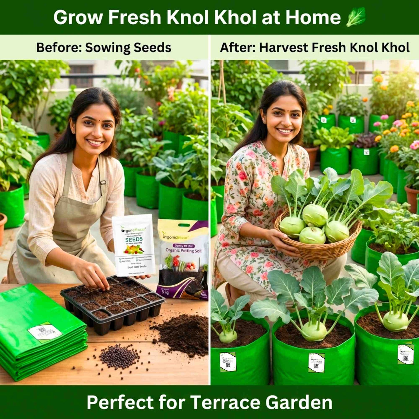 Knol Khol (kohlrabi) Seeds - 150N (Ganth Gobhi/गांठ गोभी के बीज)