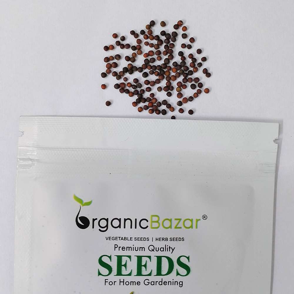 Knol Khol (kohlrabi) Seeds - 150N (Ganth Gobhi/गांठ गोभी के बीज)