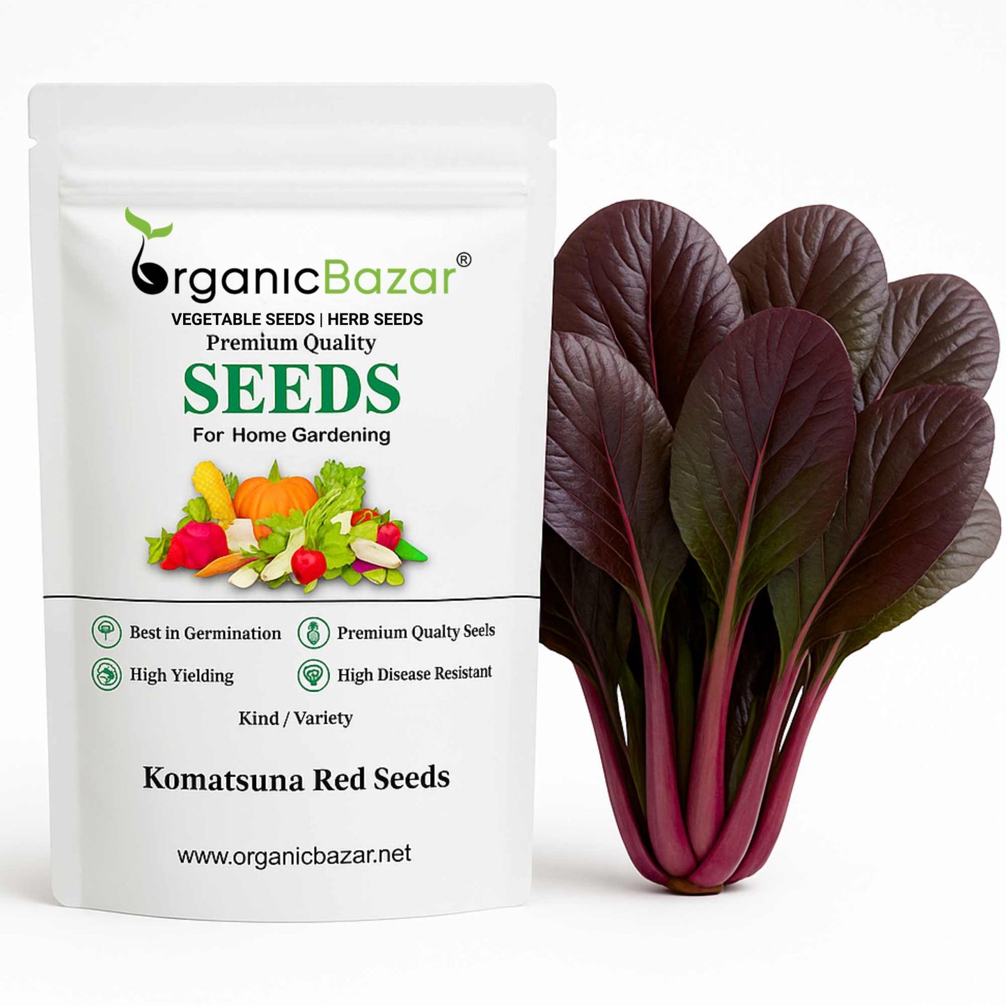 Komatsuna Red (Japanese Mustard) Seeds (250 Seeds) Easy To Grow, Suitable for pots, grow bags, Premium Quality Seeds For Terrace Gardening