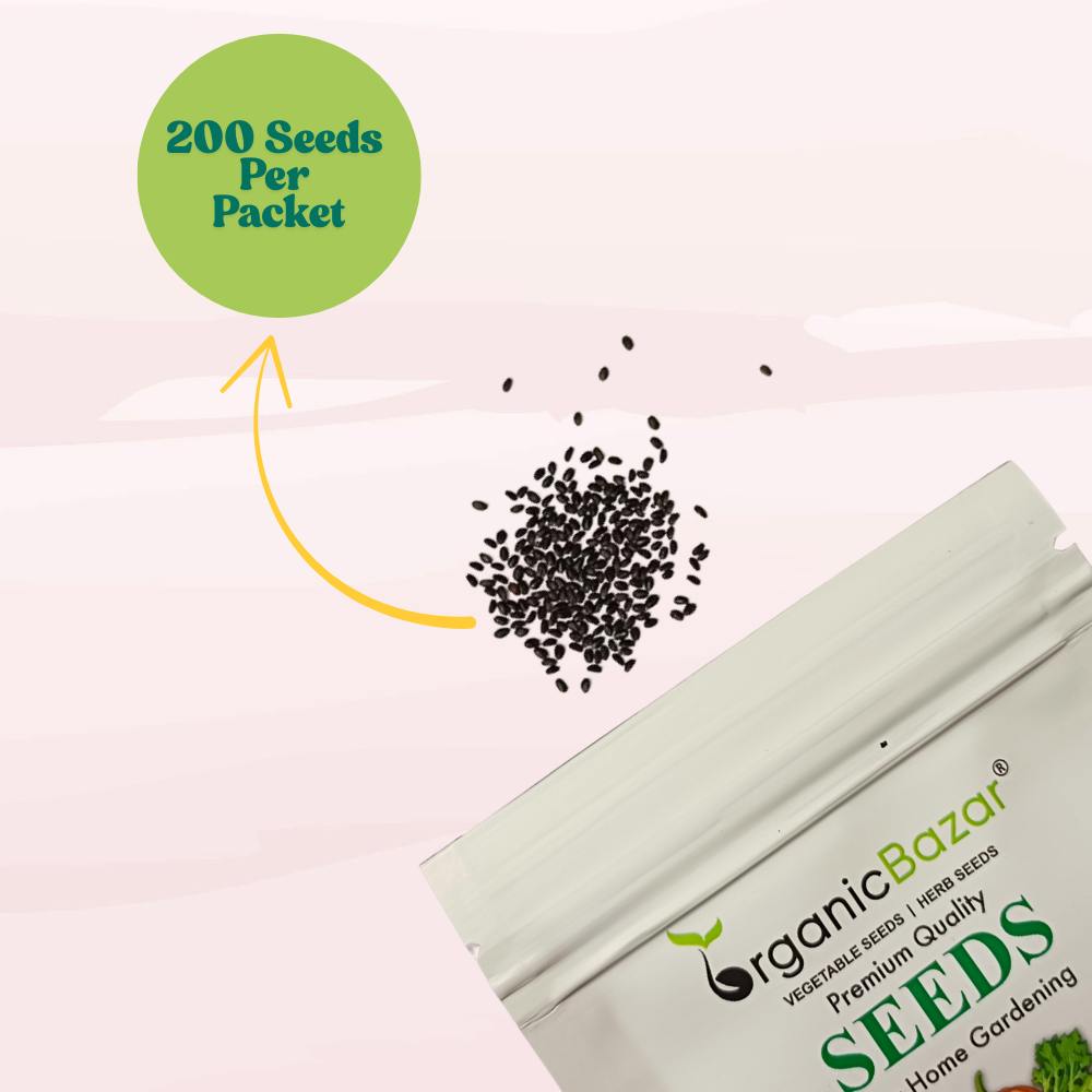 Krishna/Shyam Basil Seeds - 200 Seeds (Tulsi/तुलसी के बीज) High Germination/Perfect for pots, balconies, or Terrace gardens