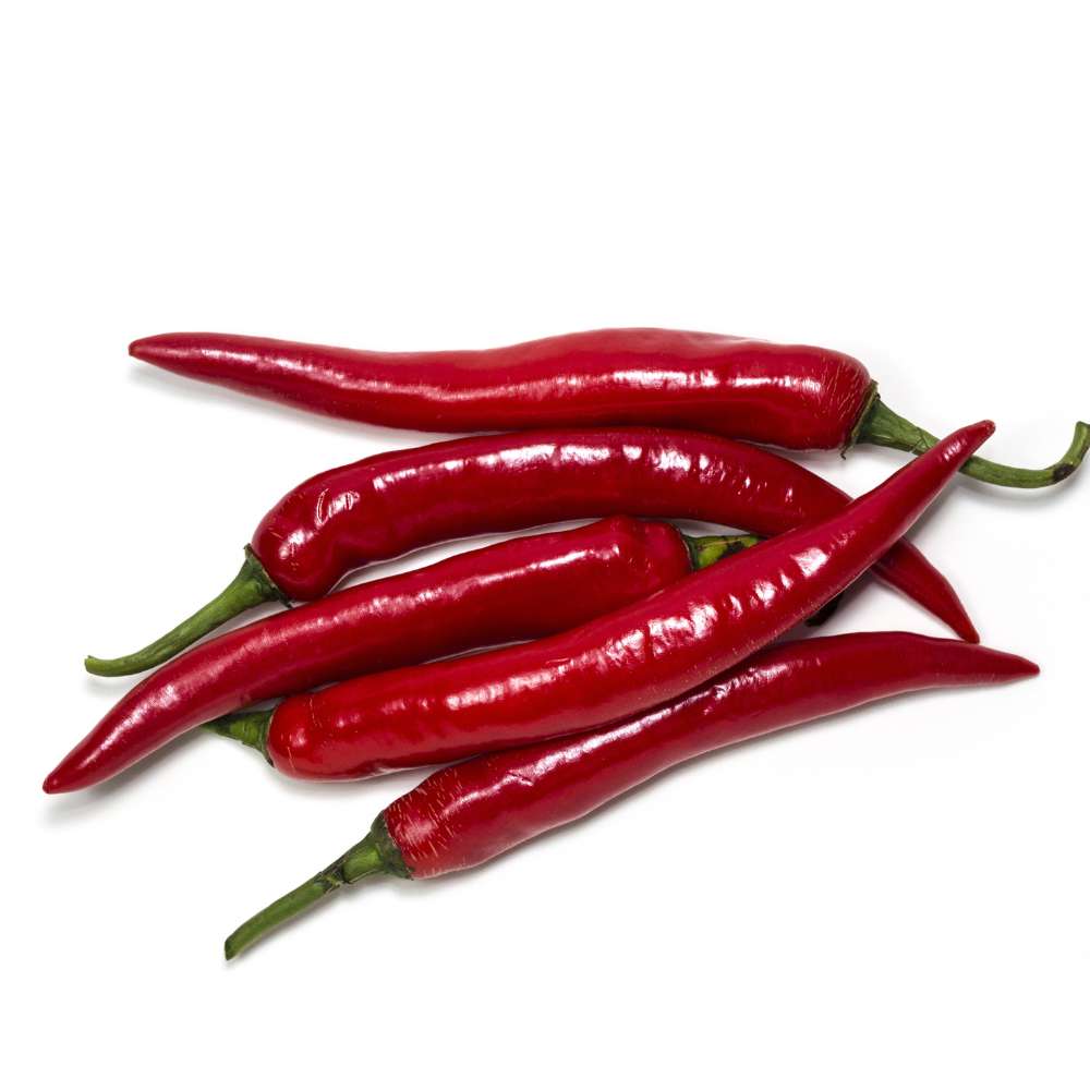 Kashmiri Chilli Seeds - (50 Seeds) High Yield | High Germination | Best for Home Gardens (Kashmiri Laal Mirch ke Beej / कश्मीरी मिर्च के बीज)
