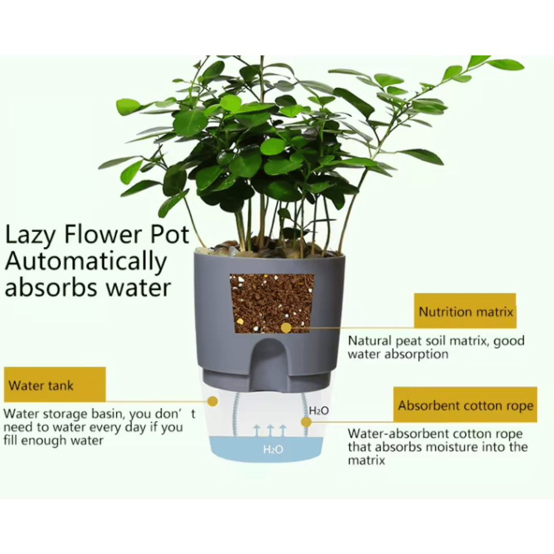 OrganicBazar Self Watering Pot Clear Plastic Decorative Garden Planters (Pack of 2) Without Plant