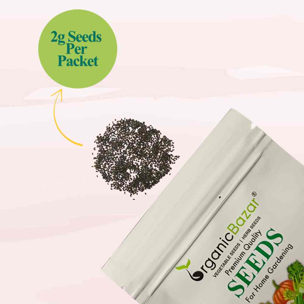Lemon Basil Microgreens Seeds (2g Seeds)