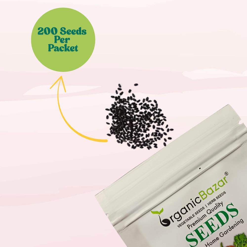 Lemon Basil Seeds - 200 Seeds (Tulsi/लेमन तुलसी के बीज) High Germination/Perfect for pots, balconies, or Terrace gardens