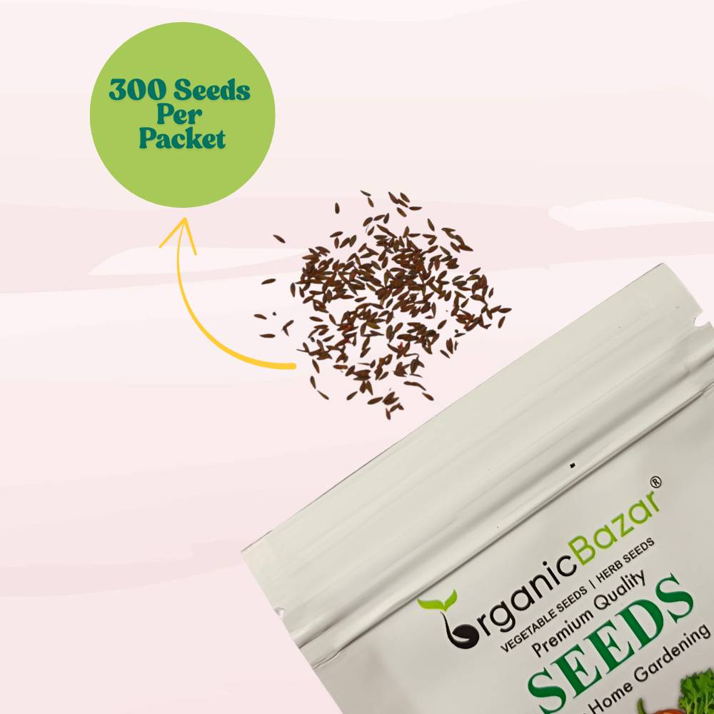 Lettuce Biscia Salad Bowl Red Seeds (Salad patta/सलाद पत्ता के बीज) Easy To Grow, High Germination, Leafy Vegetable Seeds for Balcony, Terrace Garden