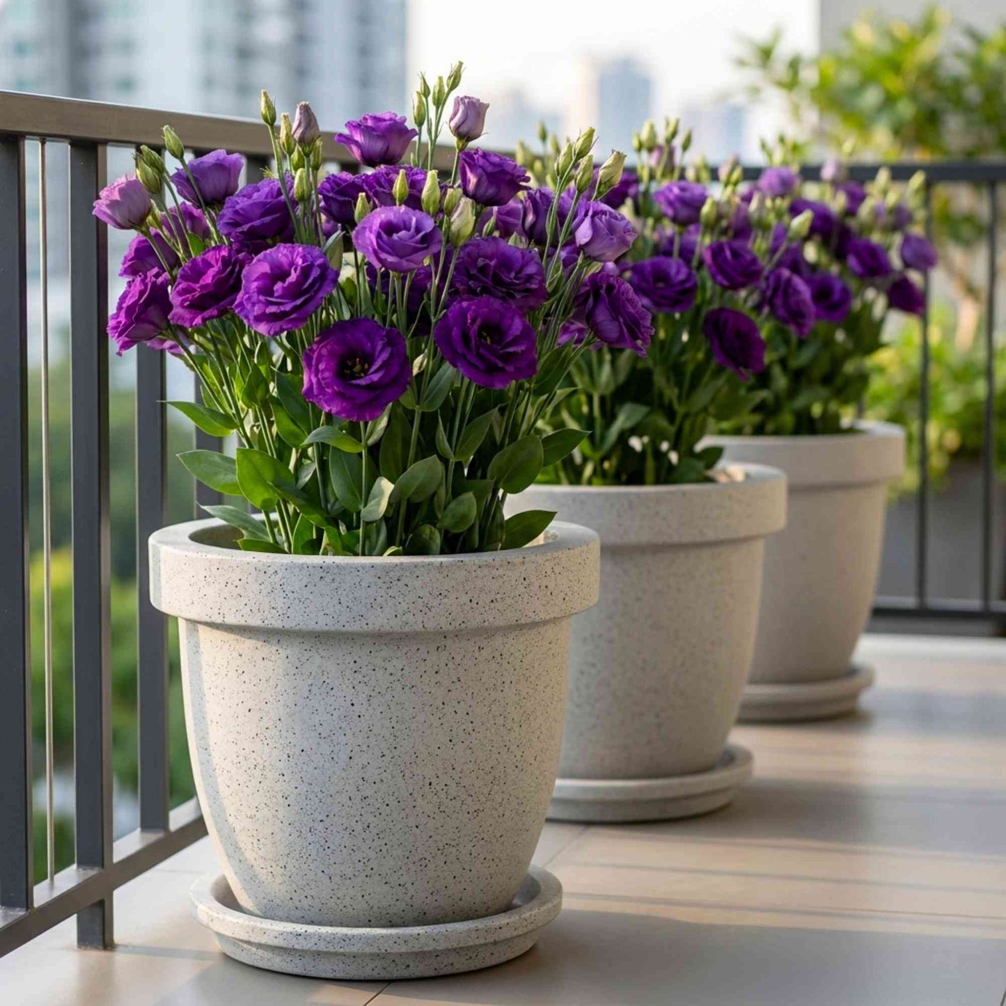 Lisianthus Purple Cut Flower Seeds (30 Seeds) Cut Flower Seeds For Pots, Bouquets & Balcony Gardening