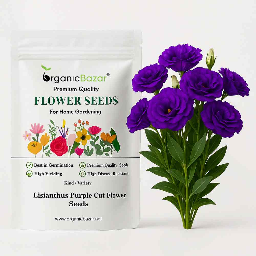 Lisianthus Purple Cut Flower Seeds (30 Seeds) Cut Flower Seeds For Pots, Bouquets & Balcony Gardening