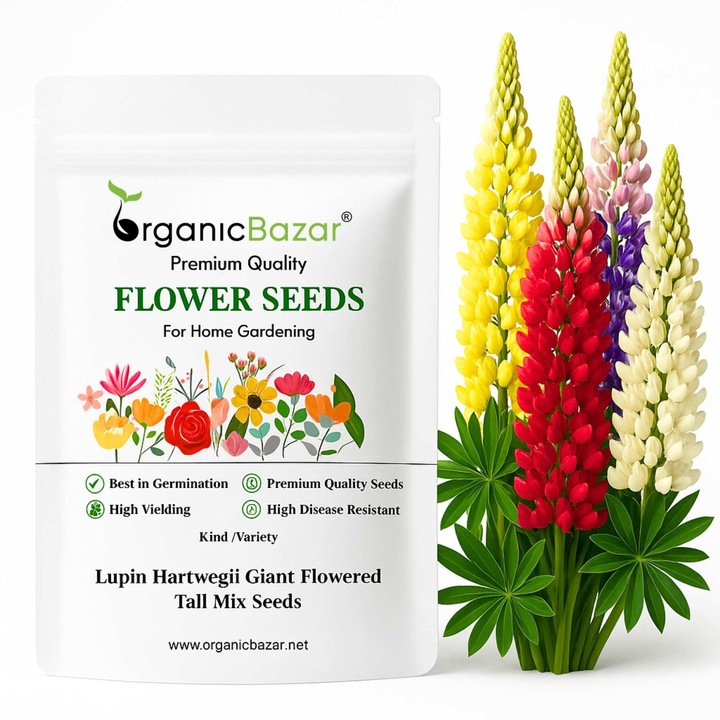 Lupin (Bluebonnet) Hartwegii Giant Flowered Tall Mix Seeds (50 Seeds)