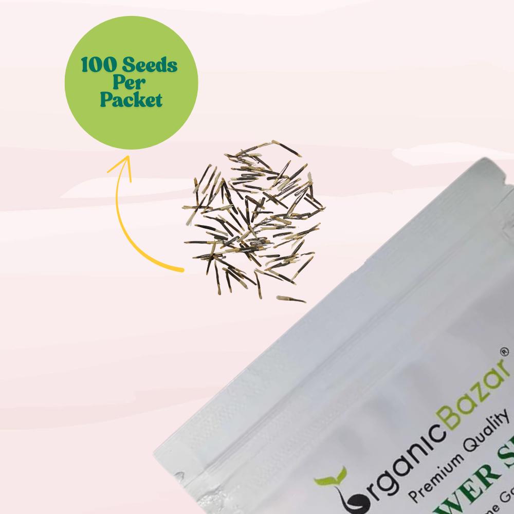 Marigold Double Dwarf Orange Seeds - 100 Seeds (Genda/ गेंदा के बीज) High Germination/ Easy To grow/ Perfect for pots, balconies, or Terrace gardens