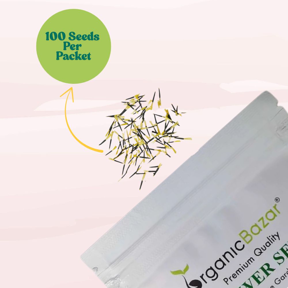 Marigold Mixed Color Seeds - 100 Seeds (Genda/ गेंदा के बीज) High Germination/ Easy To grow/ Perfect for pots, balconies, or Terrace gardens