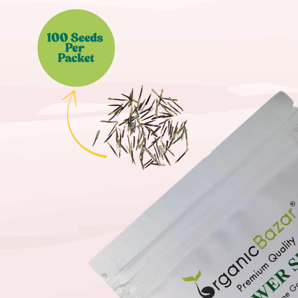 Marigold Orange Flower Seeds - 100 Seeds (Genda/ गेंदा के बीज) High Germination/ Easy To grow/ Perfect for pots, balconies, or Terrace gardens