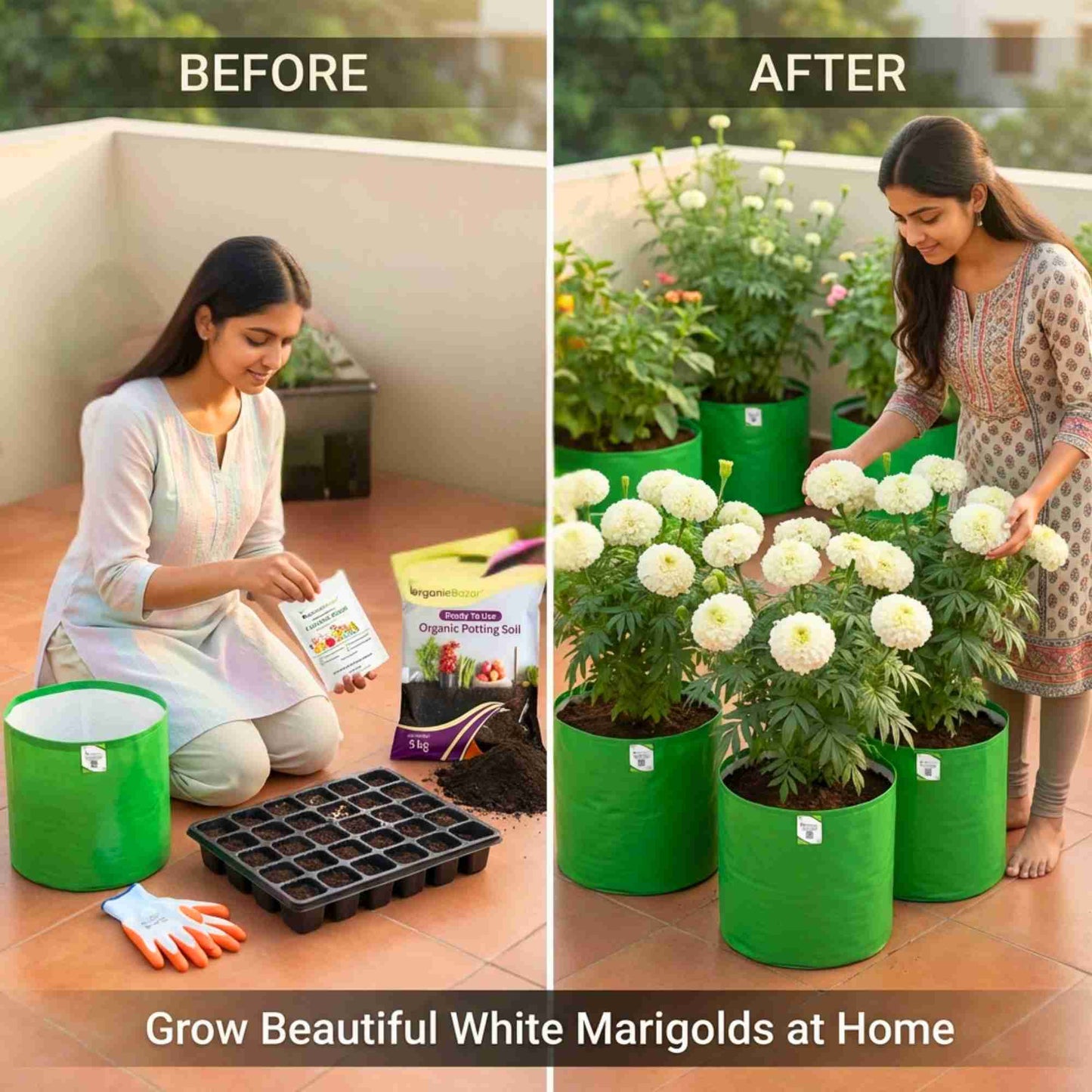 Marigold White Flower Seeds - 50 Seeds (Genda/ सफ़ेद गेंदा के बीज) High Germination/ Easy To grow/ Perfect for pots, balconies, or Terrace gardens