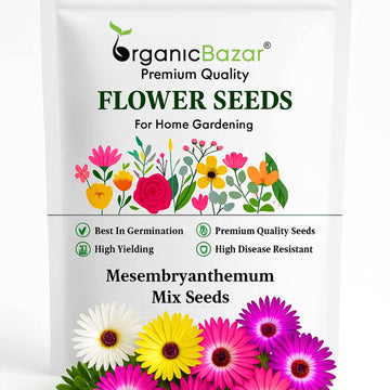Mesembryanthemum Mix Seeds (400 Seeds) Easy To Grow, High Germination, Perfect for pots, balconies, or Terrace gardens
