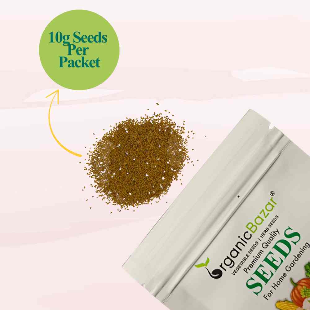 Methi Kasuri Seeds - 10g (मेथी के बीज)