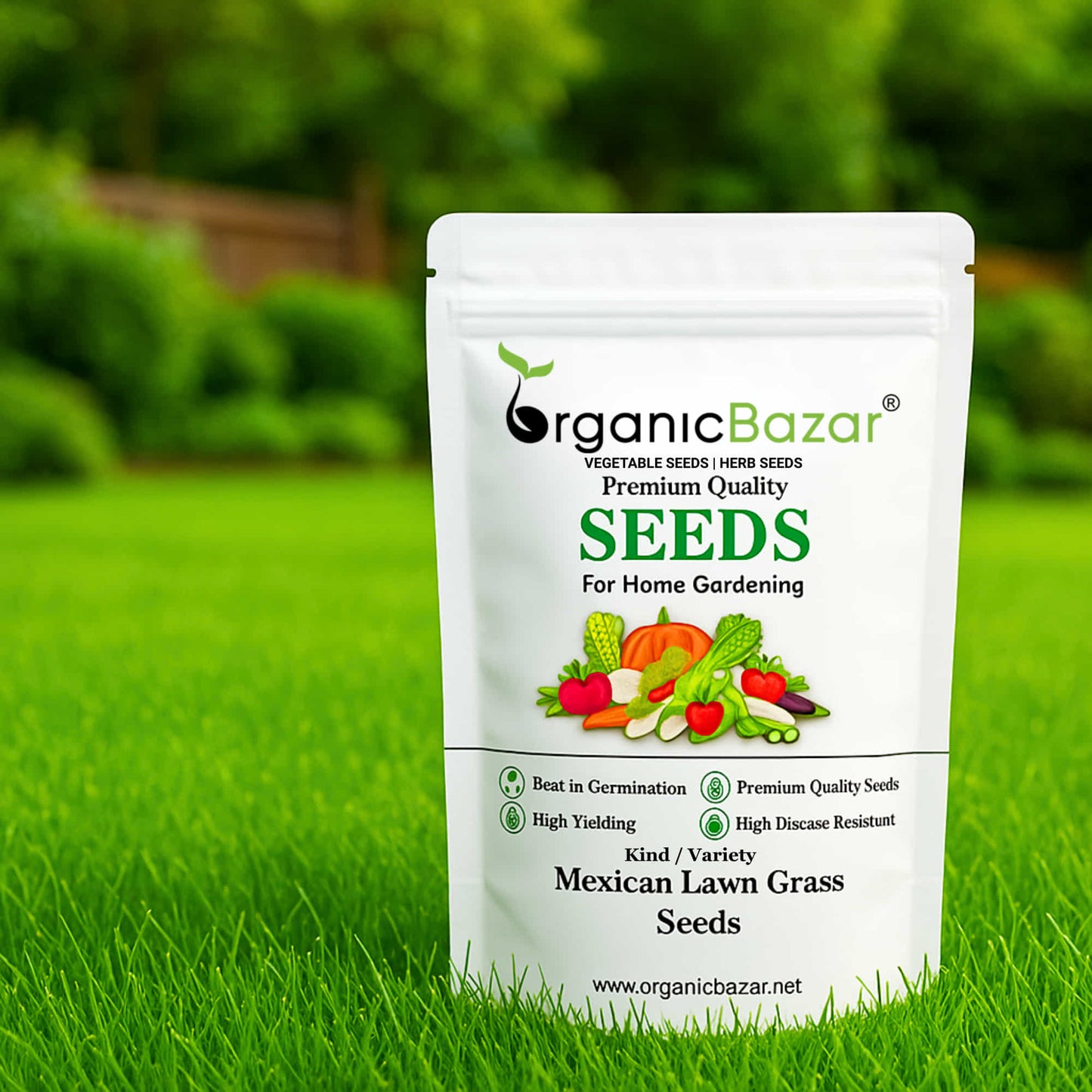 Mexican Lawn Grass Seeds For Lawn Garden (100g)