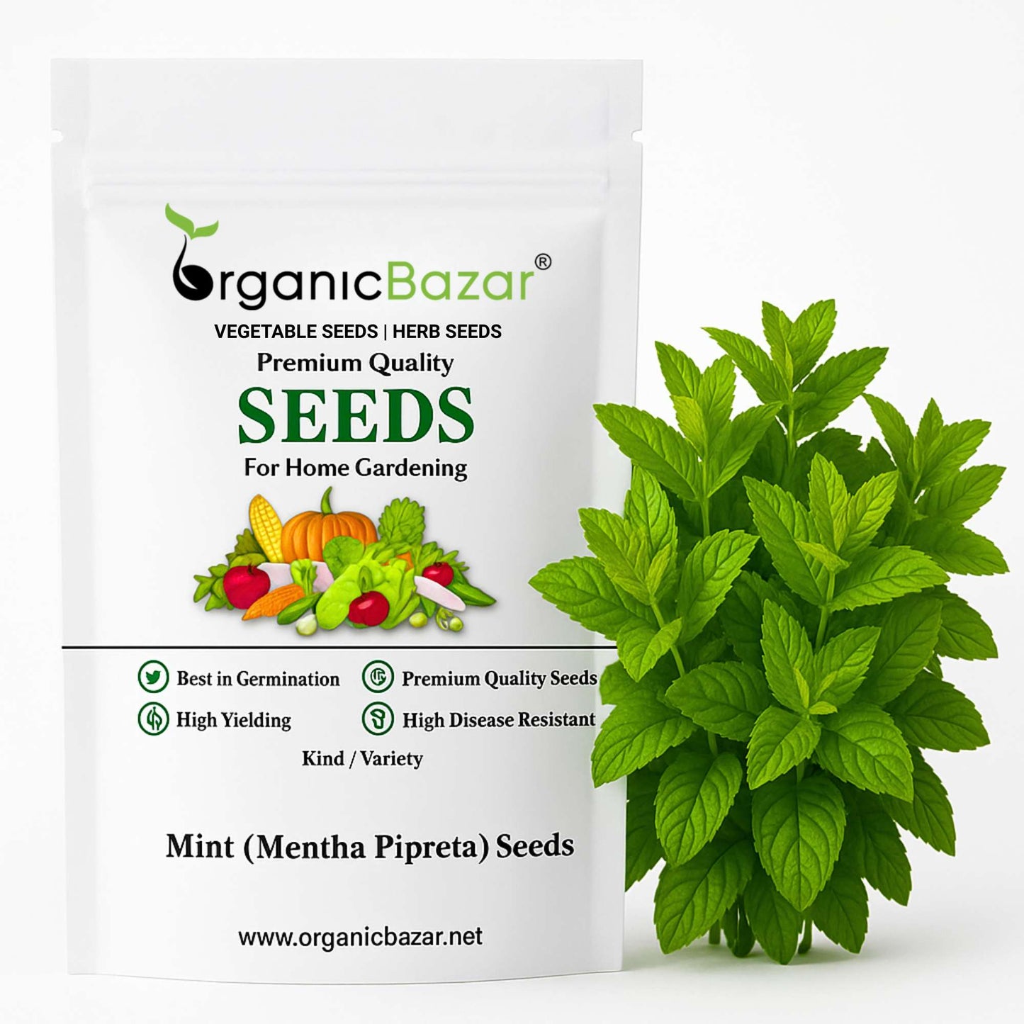 Mint/Peppermint (Mentha Pipreta) Seeds Pudina Ke Beej - पुदीना के बीज (200 Seeds)