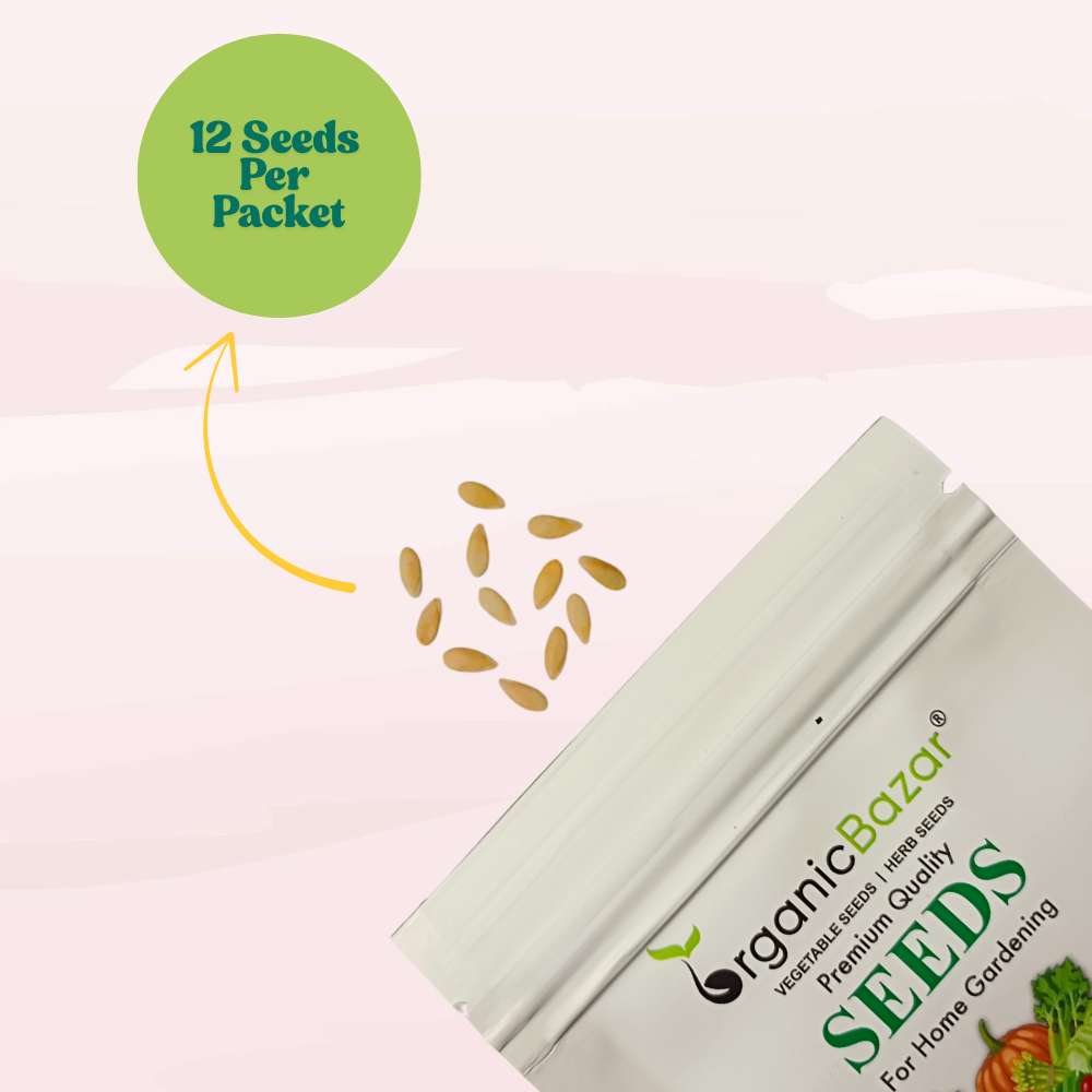 Musk Melon Round With Greenish Stripes F1 Hybrid Seeds (12 Seeds) Easy To grow, High Germination, High Yield Kharbooj Seeds for Home Gardening