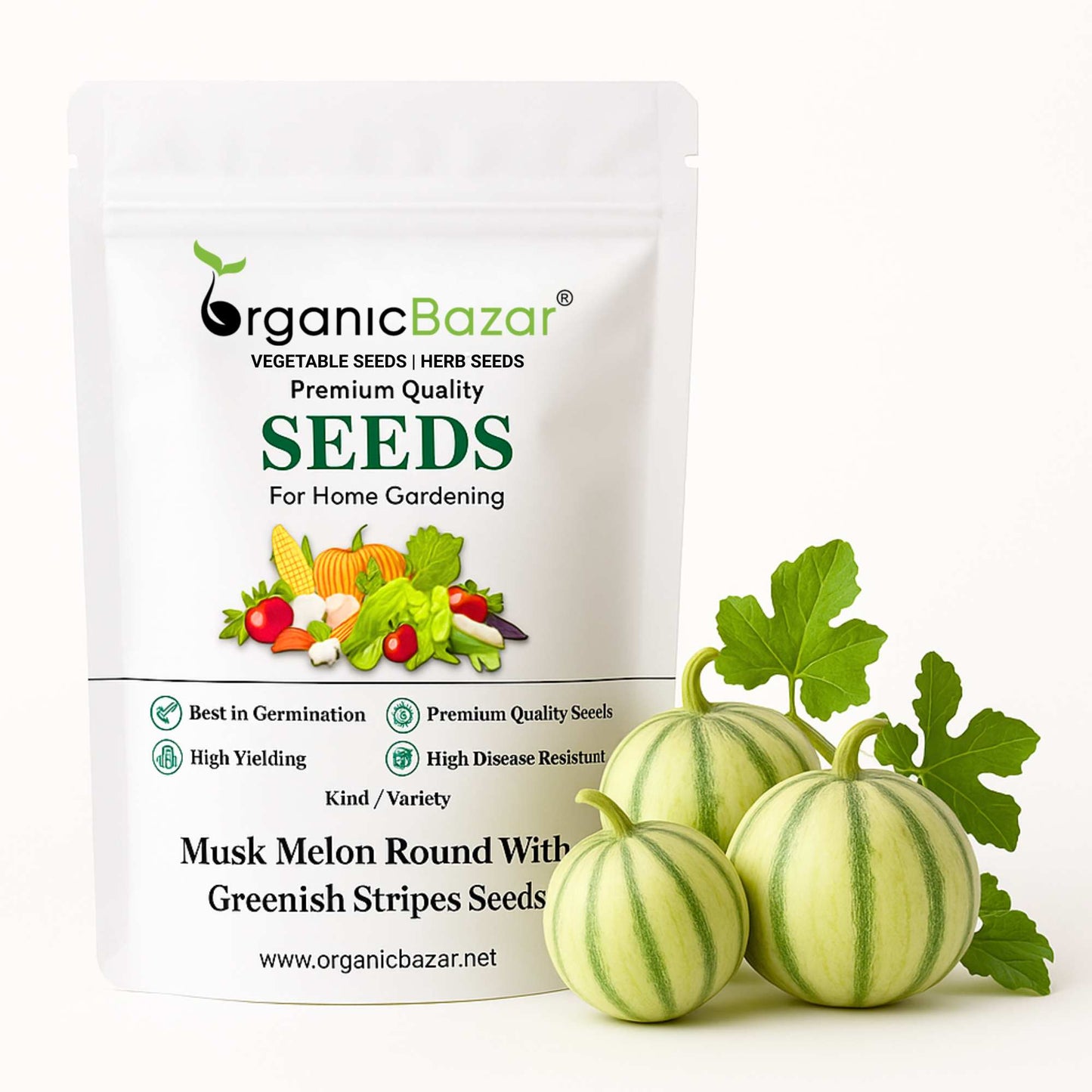 Musk Melon Round With Greenish Stripes F1 Hybrid Seeds (12 Seeds) Easy To grow, High Germination, High Yield Kharbooj Seeds for Home Gardening
