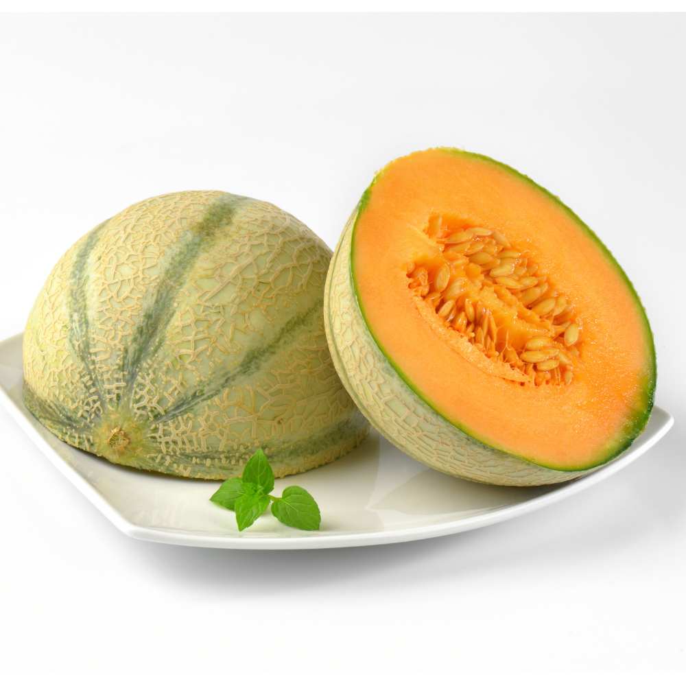 Musk Melon Round With Greenish Stripes F1 Hybrid Seeds (12 Seeds) Easy To grow, High Germination, High Yield Kharbooj Seeds for Home Gardening
