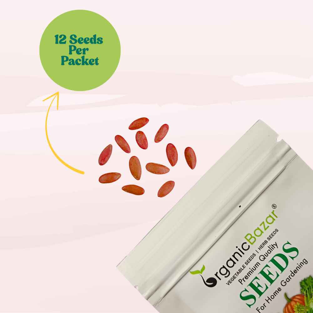 Muskmelon Yellow Seeds (12 Seeds) (kharbooja/ खरबूजा)