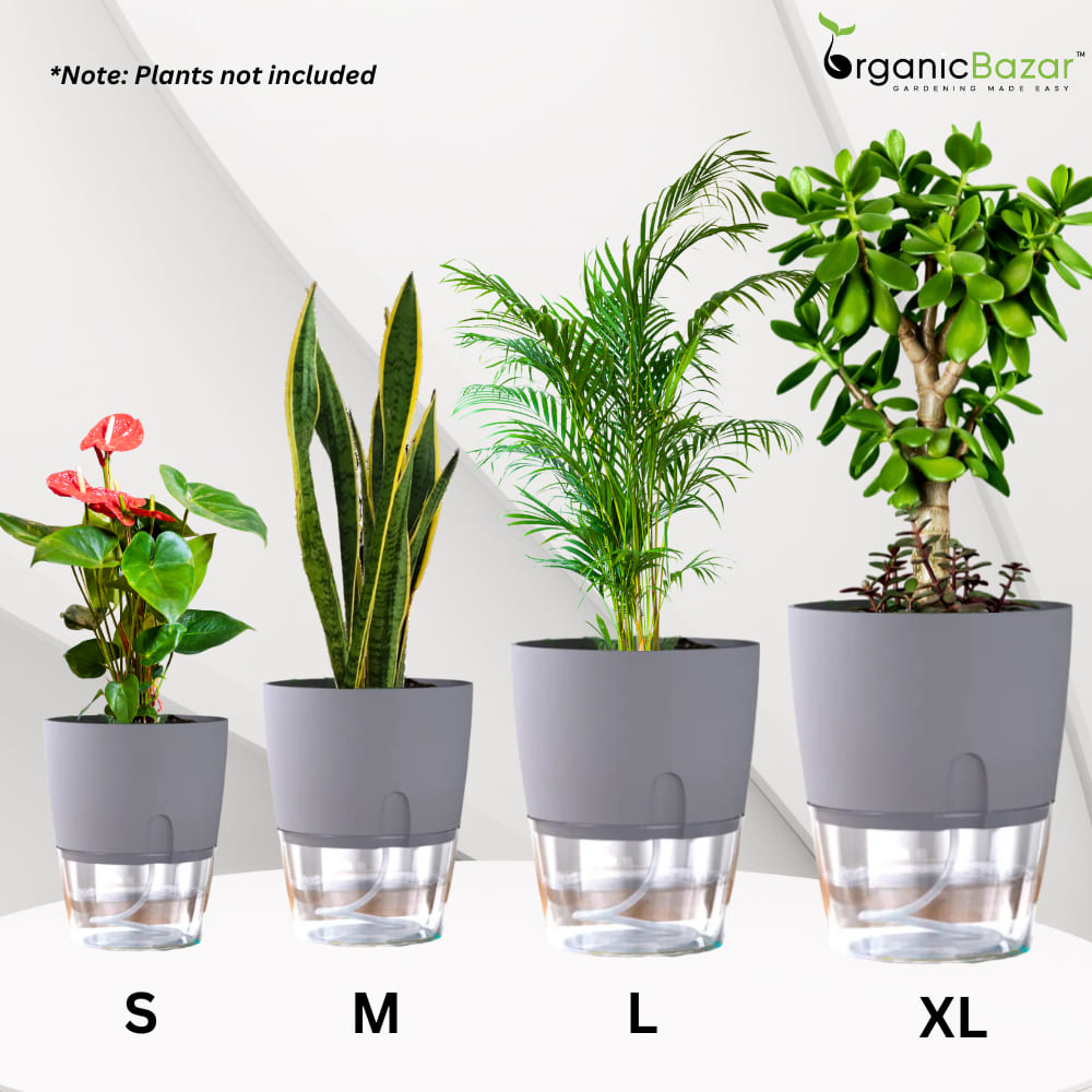 OrganicBazar Self Watering Pot Clear Plastic Decorative Garden Planters (Pack of 2) Without Plant