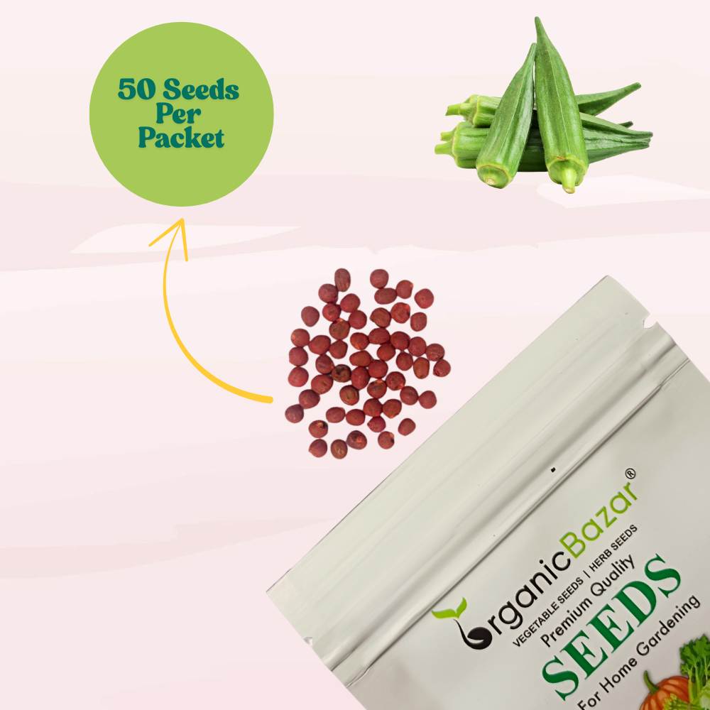Okra or Lady Finger (bhindi) Seeds - 50 Seeds (भिंडी के बीज) Easy To grow, High Germination, High Yield Okra Seeds for Home Gardening