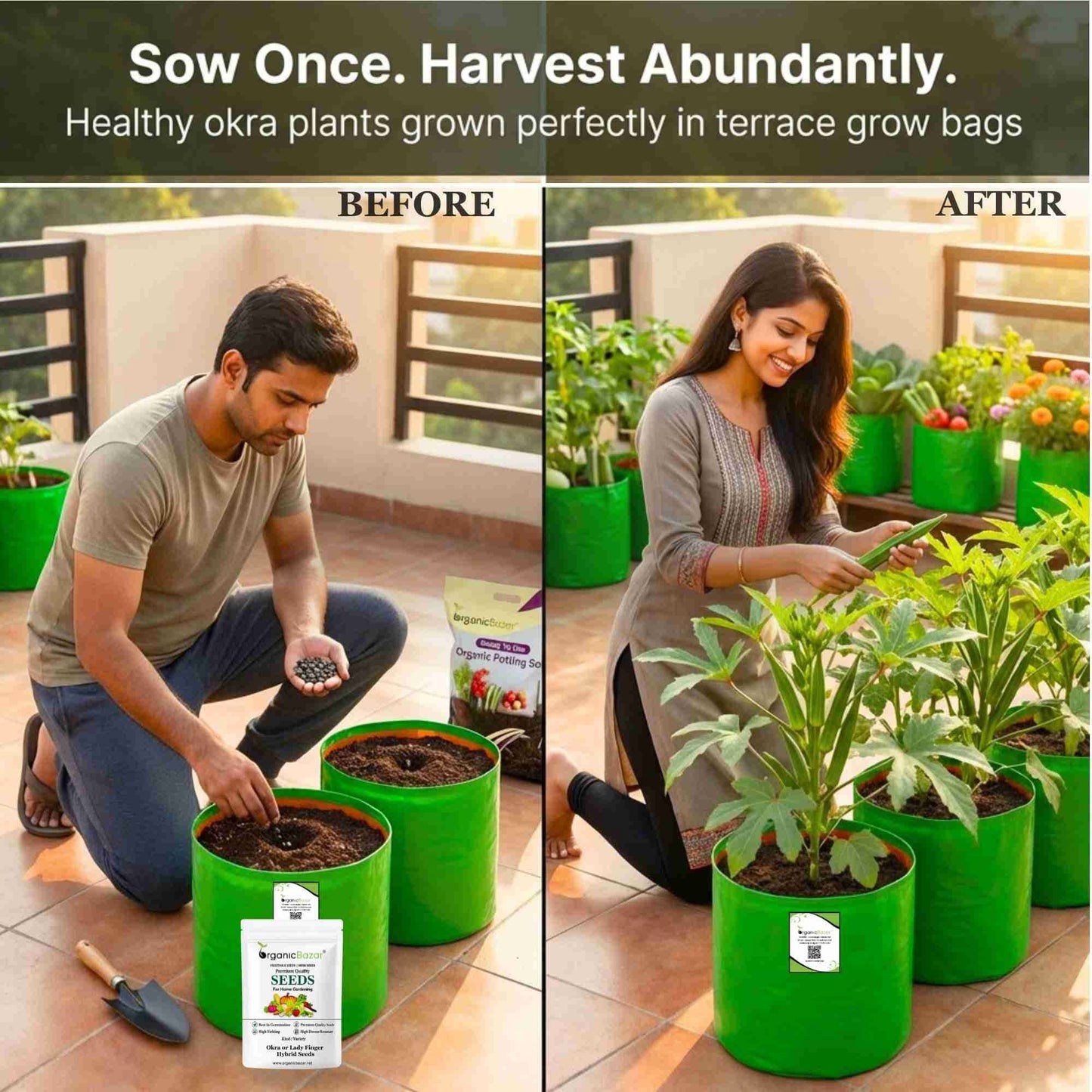 Okra or Lady Finger Hybrid (bhindi) Seeds - 50 Seeds (भिंडी के बीज) Easy To grow, High Germination, High Yield Okra Seeds for Home Gardening