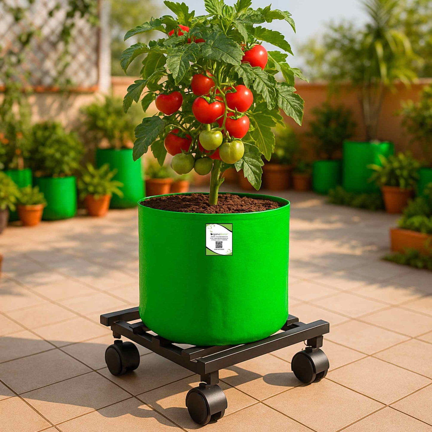 OrganicBazar Heavy Duty Plant Stand with Wheels | Plant Caddy with Wheel | Wheel Pot Trolley for Balcony, Indoor & Outdoor Garden | Rust-Proof Metal Gamla Stand (Black, Pack of 2)