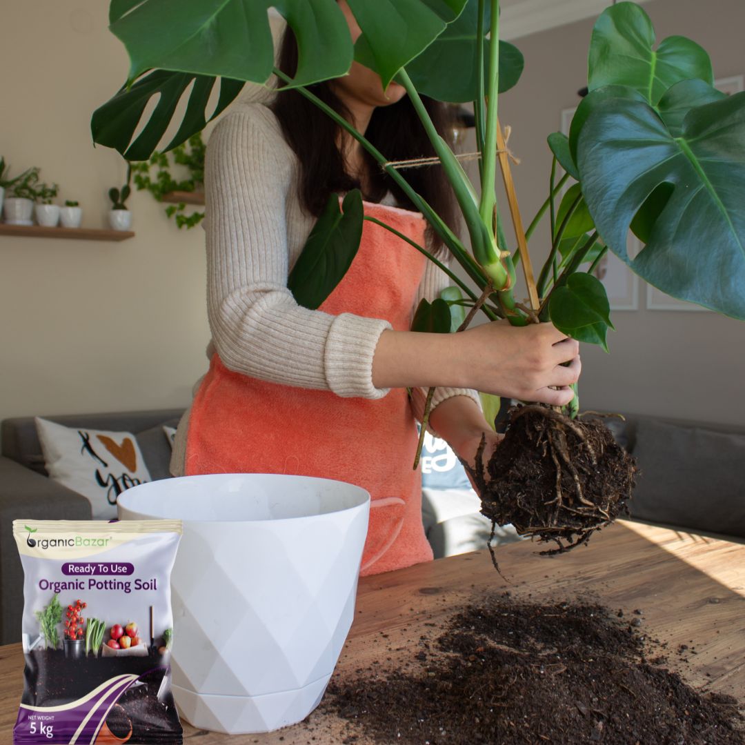 Ready to Use Organic Potting Soil Mix - 5kg For Home Gardening
