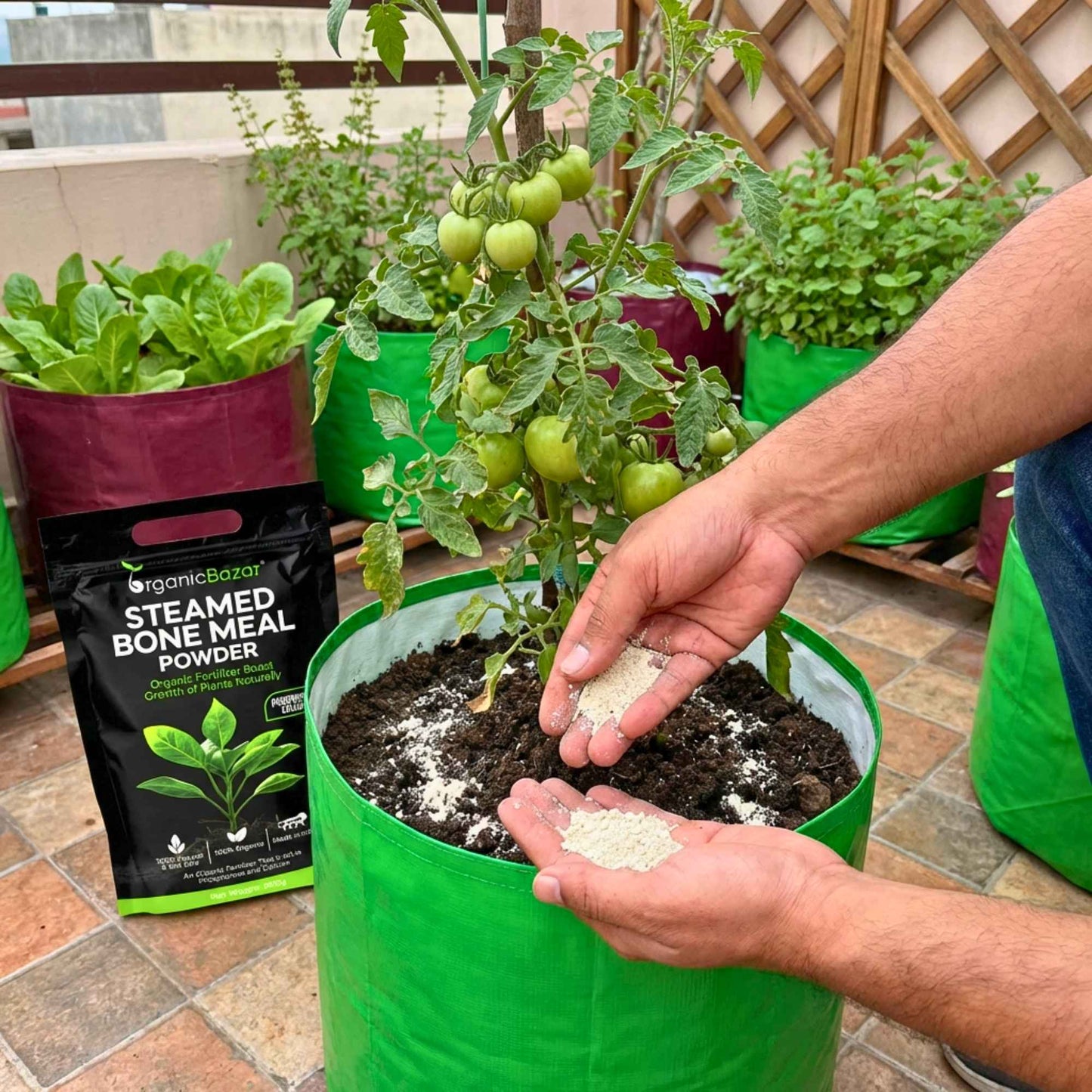 Organic Steamed Bone Meal Fertilizer for Plants, Slow Release Powder