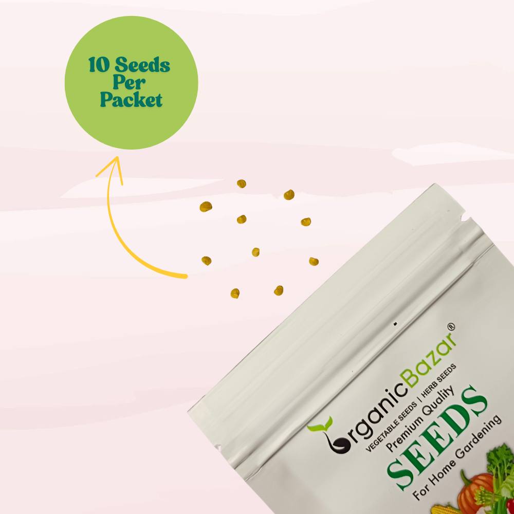 Ornamental Chilli/ Pepper Dwarf Mix Color Seeds - (10 Seeds) High Yield | High Germination | Ideal for indoor/outdoor use