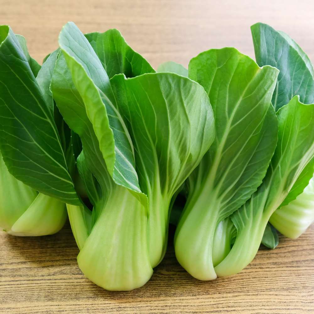 Pak Choi (Bok Choi) Seeds - 150 Seeds (पाक चोई के बीज)