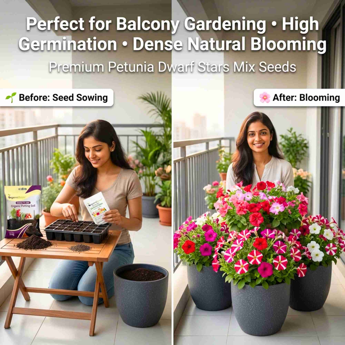 Petunia Dwarf Stars Mix Seeds (300 Seeds) High Germination/ Easy To grow/ Perfect for pots, balconies, or Terrace gardens