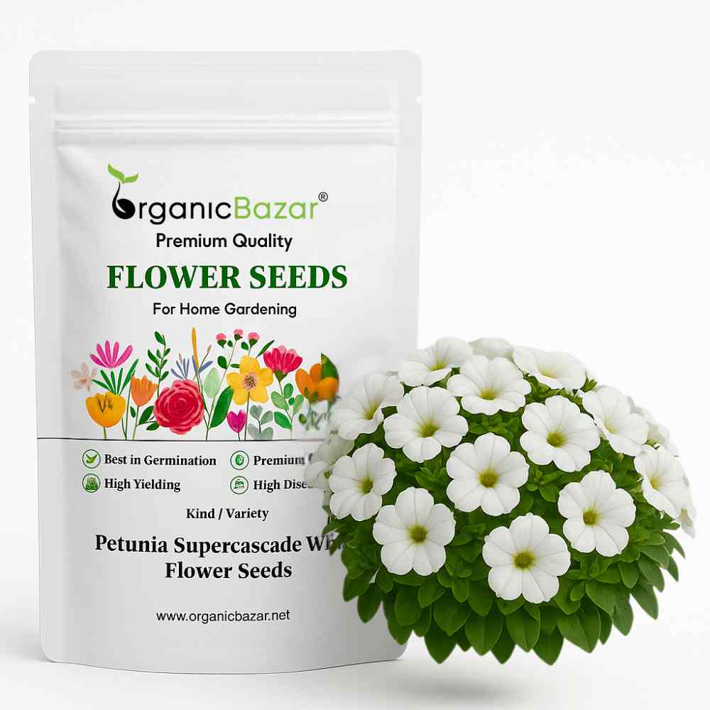 Petunia Supercascade White Flower Seeds (50 Seeds) High Germination/ Easy To grow/ Perfect for pots, balconies, or Terrace gardens