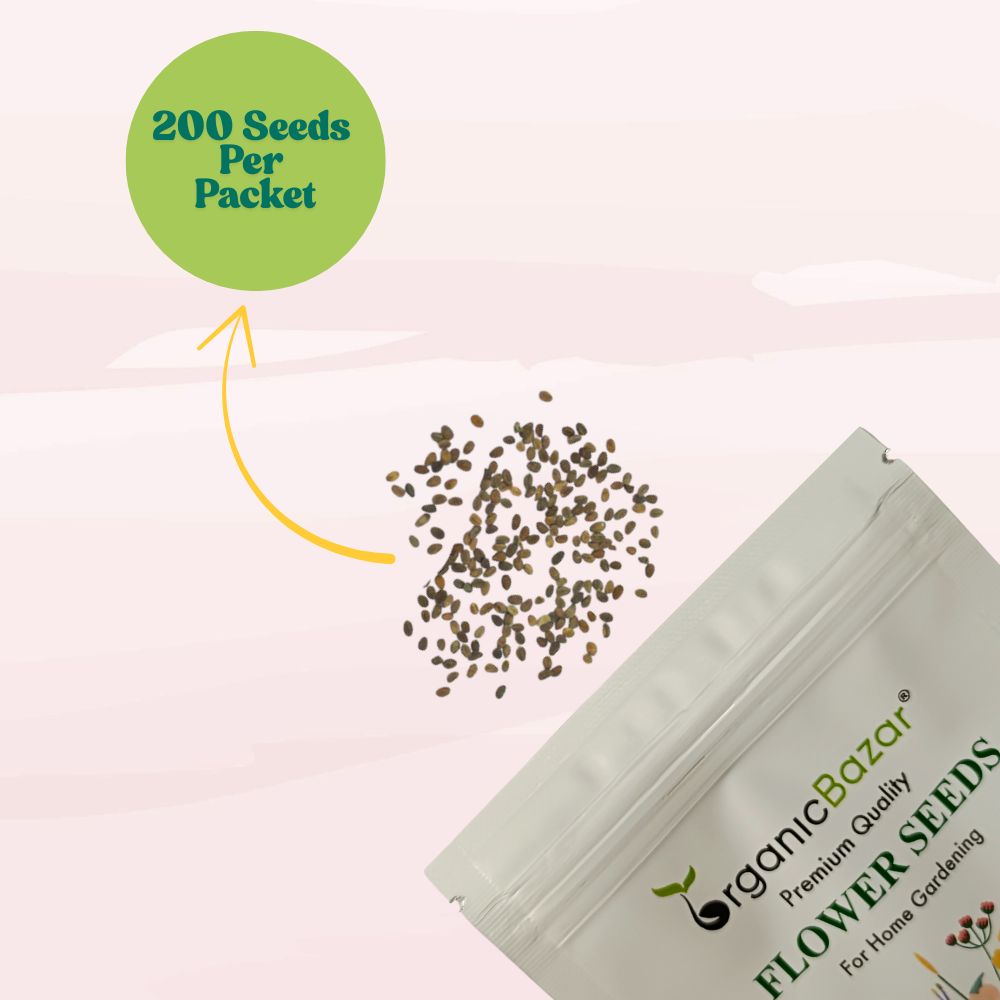 Phlox Beauty Dwarf Mix Seeds (200 Seeds) High Germination/ Easy To grow/ Perfect for pots, balconies, or Terrace gardens