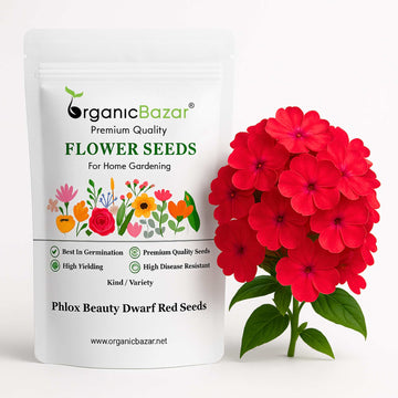 Phlox Beauty Dwarf Red Seeds (200 Seeds) High Germination/ Easy To grow/ Perfect for pots, balconies, or Terrace gardens