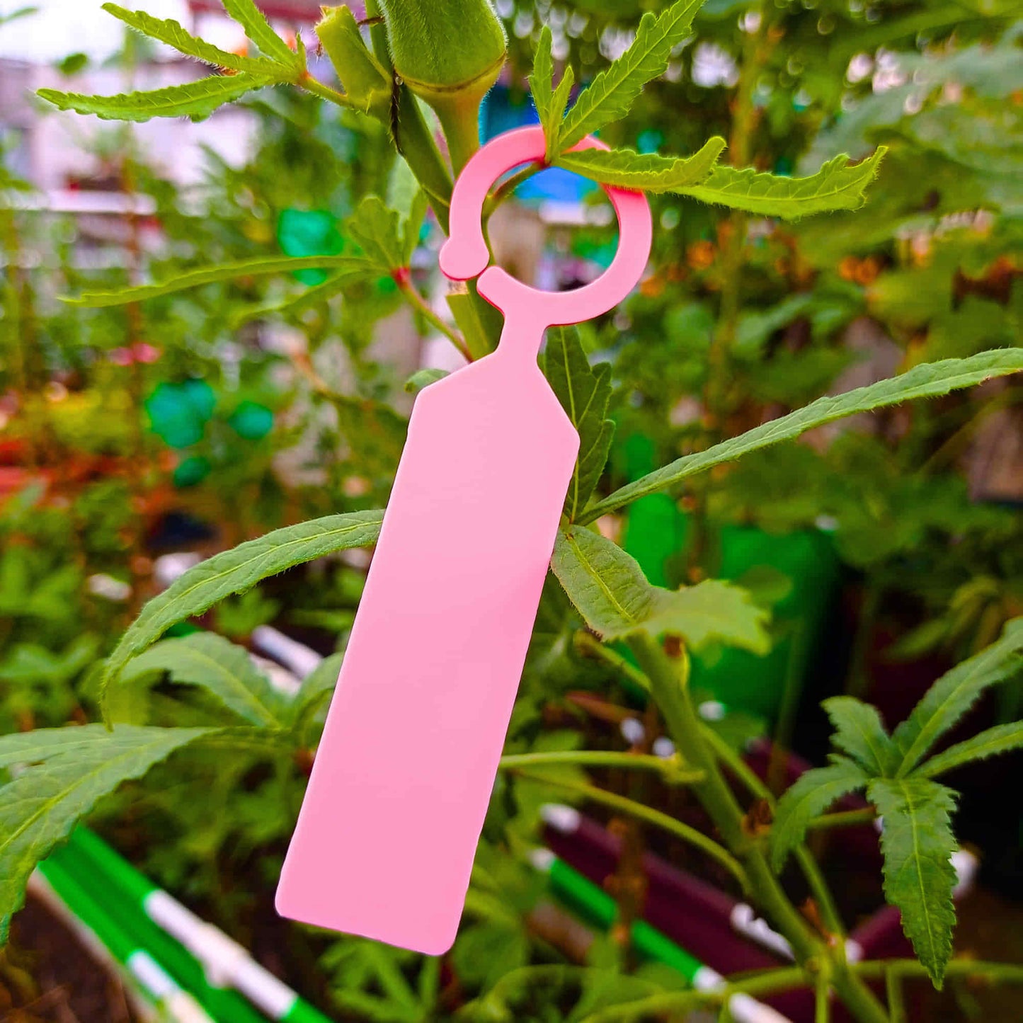 Hanging Plant Tag for Nursery & Home Garden | Plastic Plant Tree Tags | Ring Tag Garden Labels for Terrace Garden