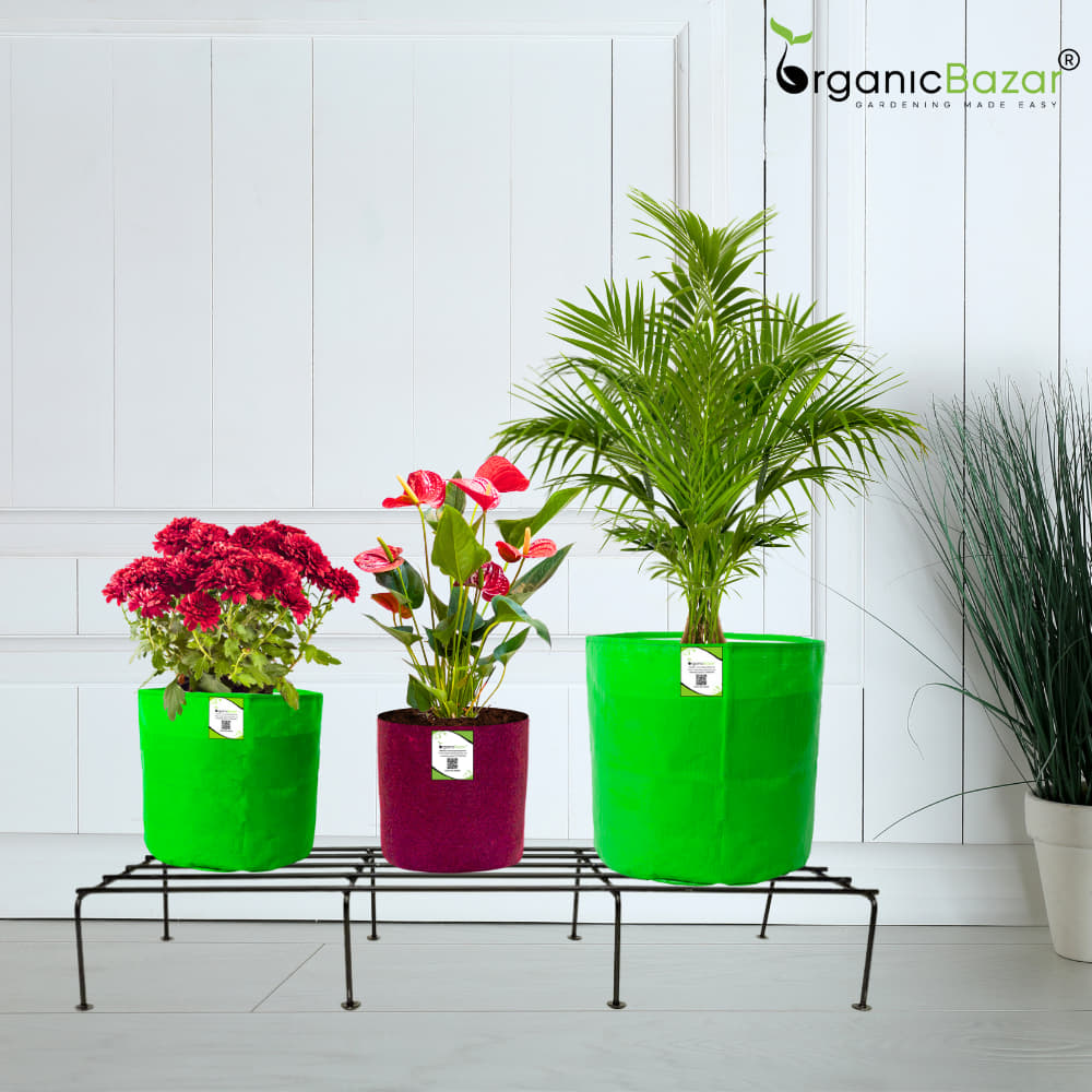 OrganicBazar Metal Plant Stand for Pots | Rust-Resistant Heavy-Duty Rectangular Flower Pot Stand for Garden Decor, Balcony & Indoor Use (Black)