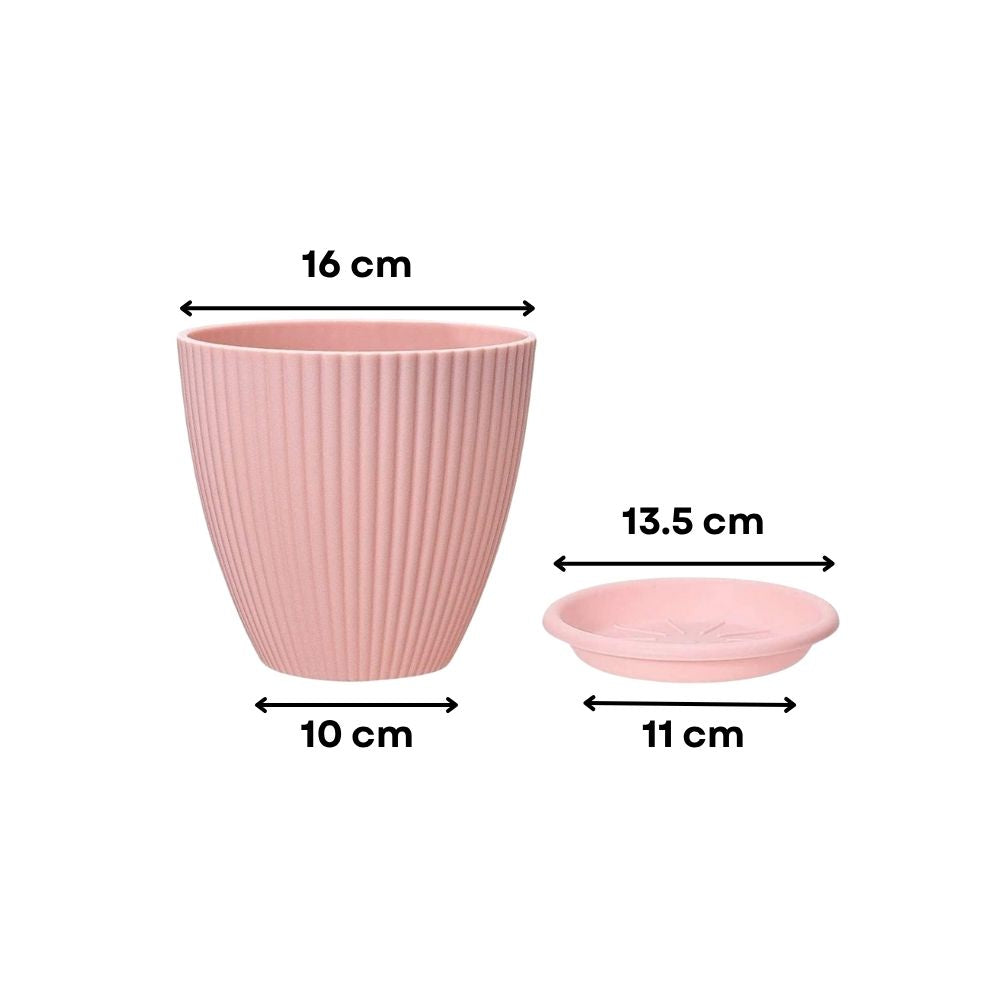 Plastic Flower Pot with Tray (Multicolor, Pack of 5)