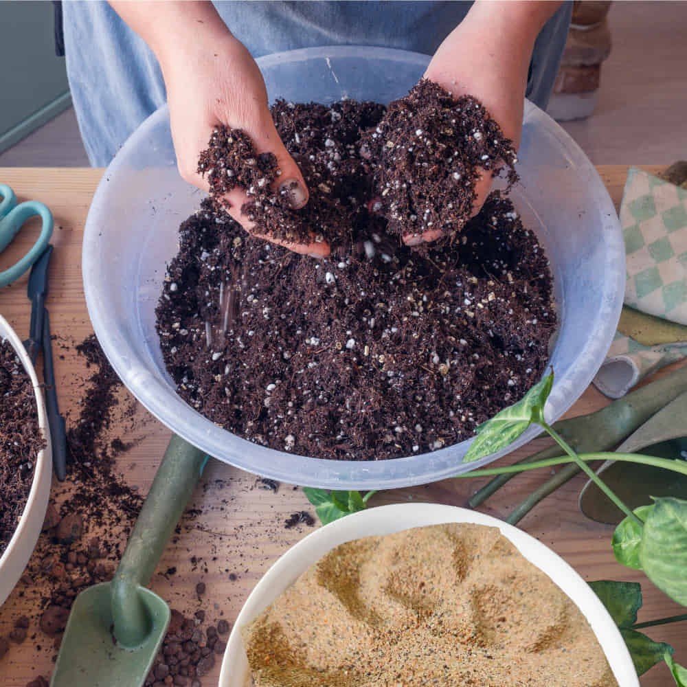 Natural River Sand Multi-Purpose Pure Organic Plants Soil Mix Additive