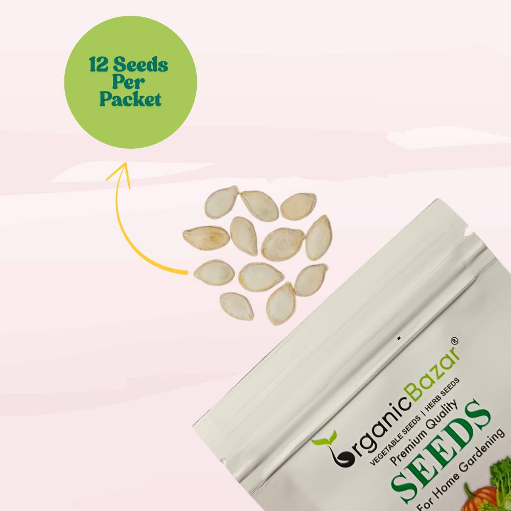 Pumpkin Oval seeds - 12 Seeds (Kaddu/ कद्दू के बीज) Easy To grow, High Germination, High Yield Kaddu Seeds for Home Gardening