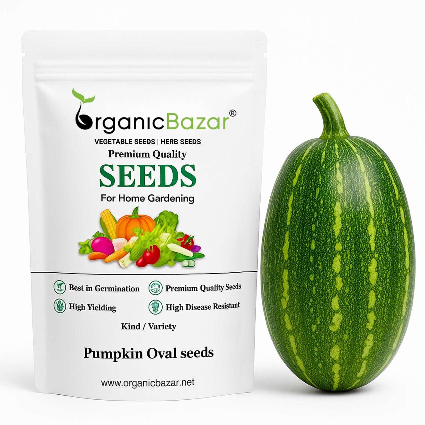 Pumpkin Oval seeds - 12 Seeds (Kaddu/ कद्दू के बीज) Easy To grow, High Germination, High Yield Kaddu Seeds for Home Gardening