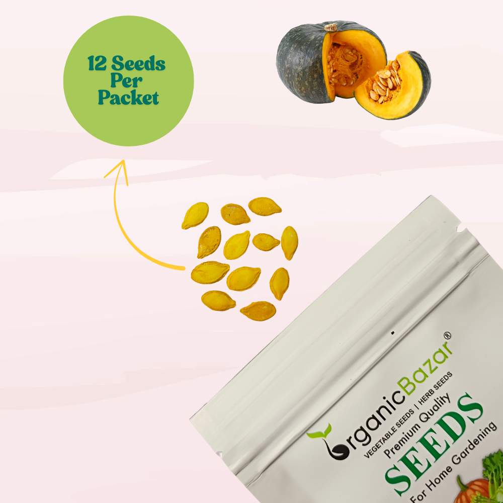 Pumpkin (kaddu) Seeds - 12 Seeds (कद्दू के बीज) Easy To grow, High Germination, High Yield Kaddu Seeds for Home Gardening