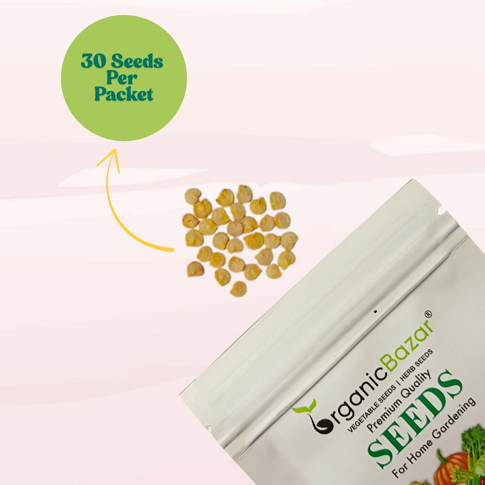 Purple Capsicum (OP) Seeds - 30 Seeds (Bainganee Shimla Mirch/बैंगनी शिमला मिर्च के बीज) High Yield | High Germination | Best for Home Gardens