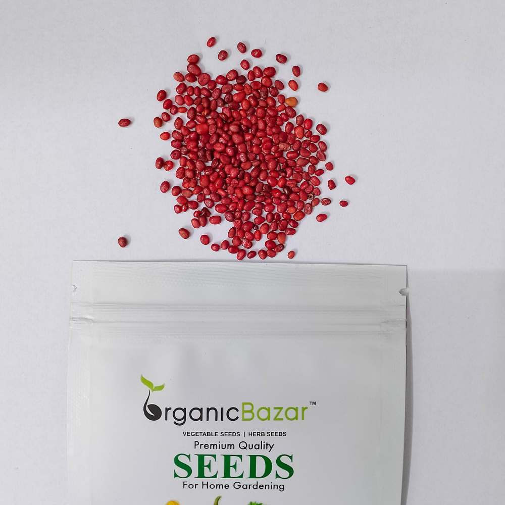 Radish Half Red And White Seeds - 250 Seeds (Mooli/मूली के बीज)